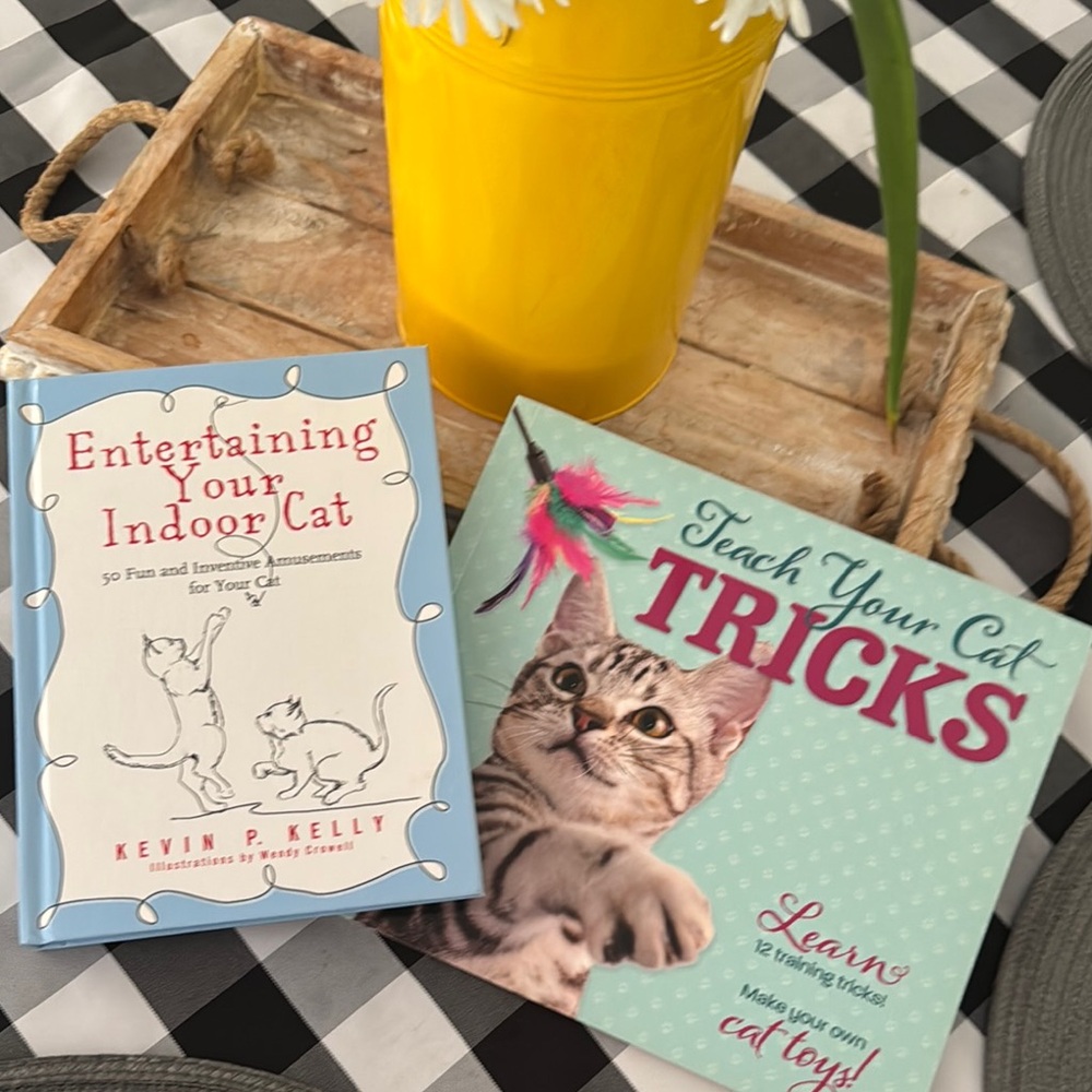 Cat Entertainment and Training Book Set